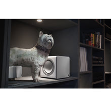 Cargar imagen en el visor de la galería, Cambridge Audio MINX X201 editorial
