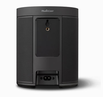 Yamaha MusicCast 20 conexiones