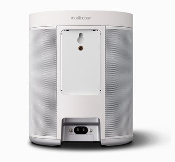 Yamaha MusicCast 20 blanco conexiones