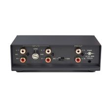 Cargar imagen en el visor de la galería, NAD PP2 detrás
