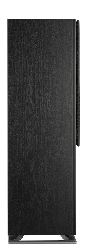 Dali Oberon 5 negro perfil