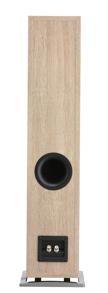 Dali Oberon 5 marron claro conexiones