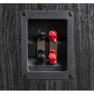 Polk Audio S60e Conexiones