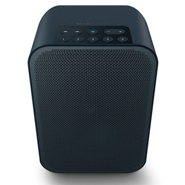 Bluesound PULSE FLEX 2i