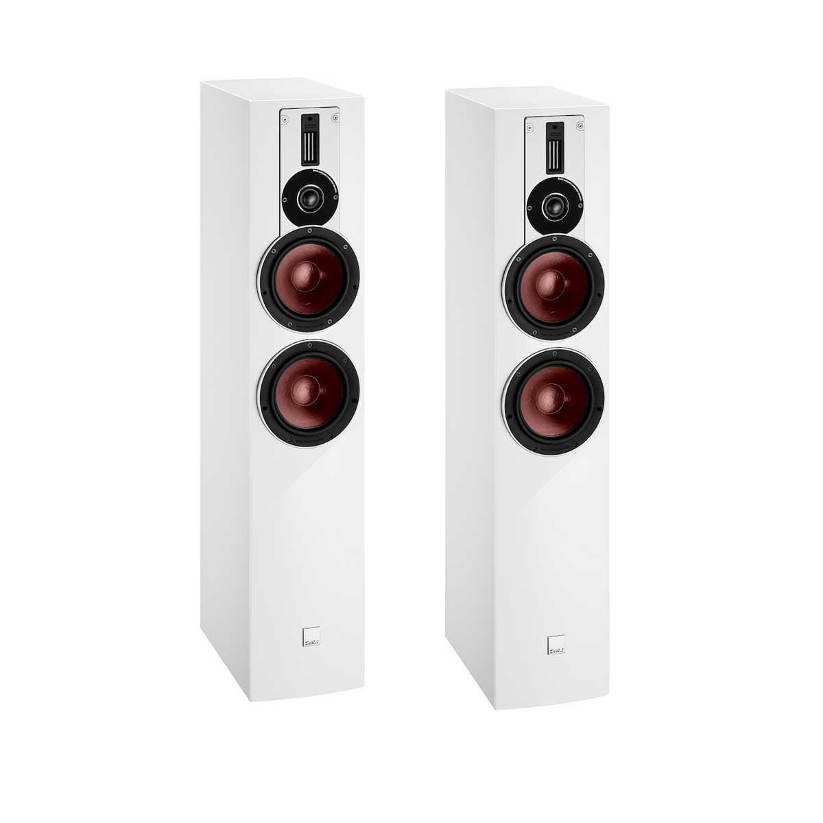 Dali Rubicon 6