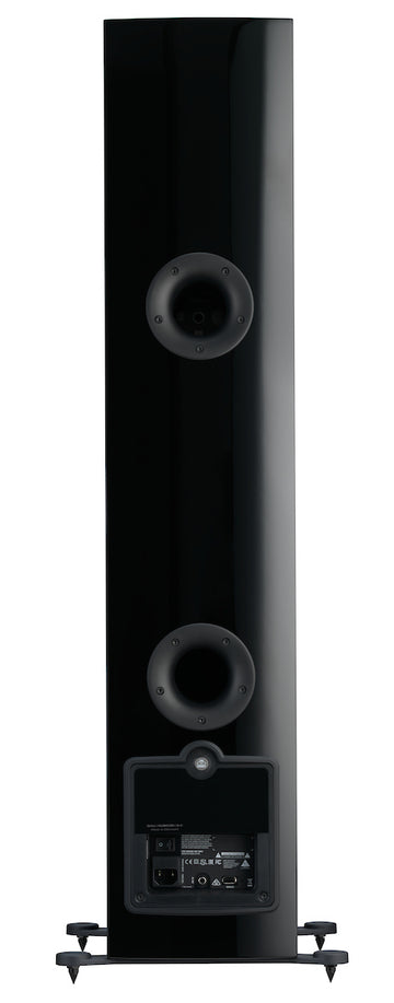 Dali Rubicon 6 C negro conexiones