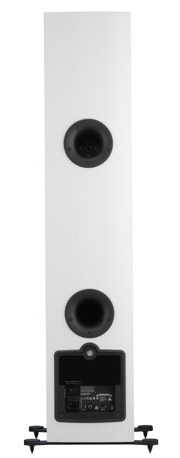 Dali Rubicon 6 C blanco conexiones