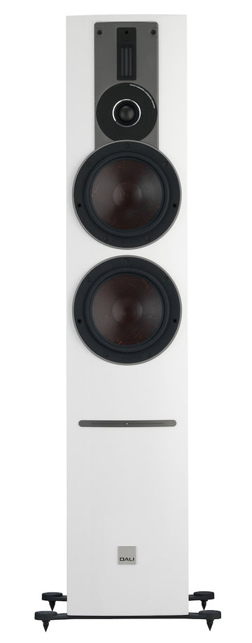 Dali Rubicon 6 C frontal