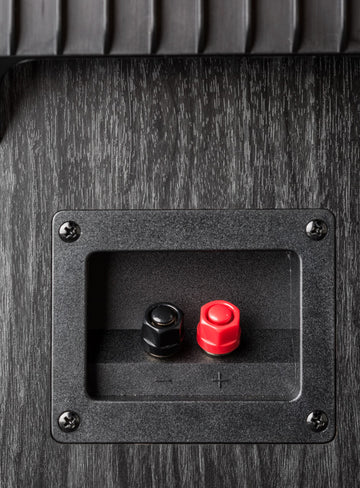 Polk Audio S15e Conexiones