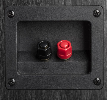 Polk Audio S30e Conexiones