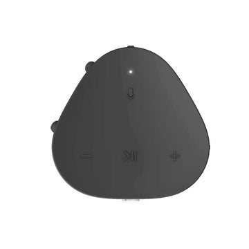 Sonos Roam panel