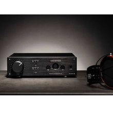 Cargar imagen en el visor de la galería, Violectric HPA V340 editorial
