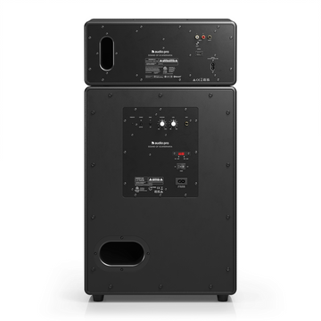 Audio Pro Drumfire II trasera